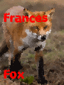 FrancesFox.gif