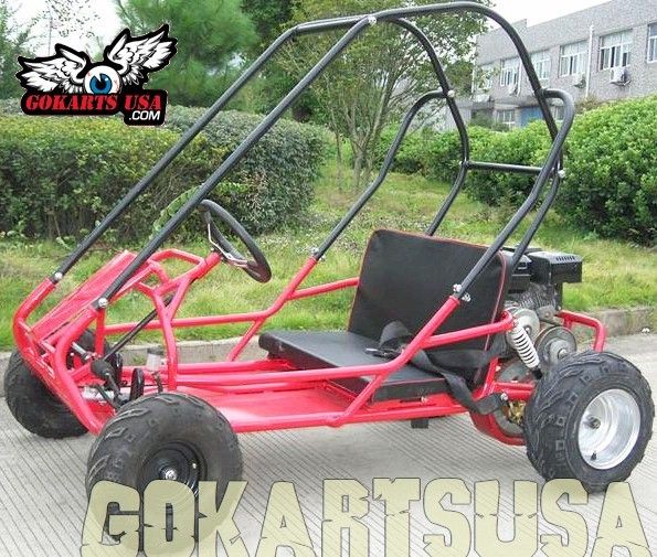 INTERCEPTOR 196 XRS Go Kart, CARB Approved for California