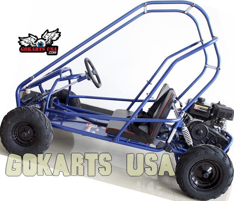INTERCEPTOR 196 XRS Go Kart, CARB Approved for California