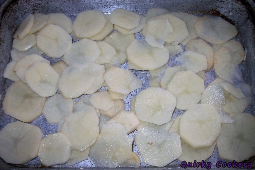 Layer of potatoes in bottom of 9 by 13 pan