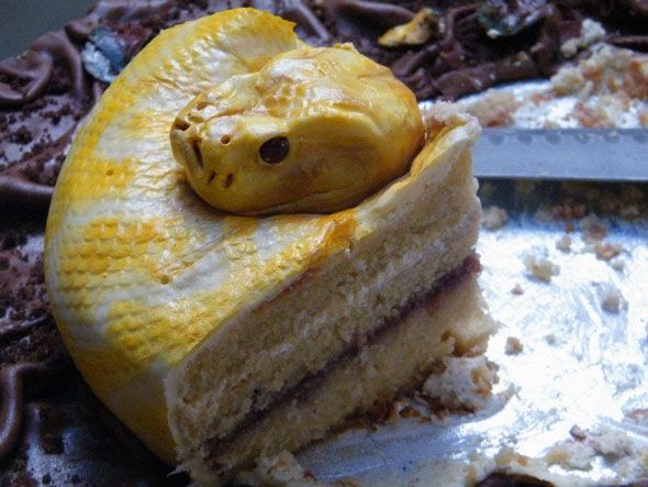 Realistic snake cake cut up