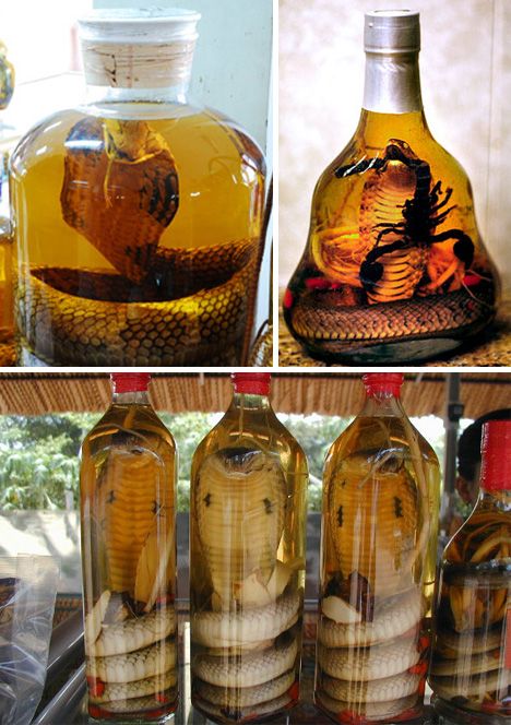 Bottles of dead snakes to create wine