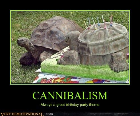 Picture of a tortoise cake with a turtle standing in front of it. The caption says "Cannibalism - Always a great birthday party theme"