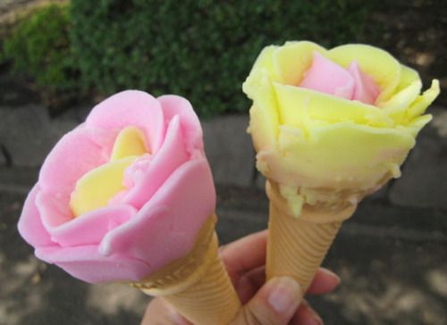  photo ice-cream-rose-summer-Favimcom-219973.jpg