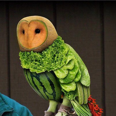 Owl made of cantaloupe, watermelon, lettuce, peppers, etc - Food art