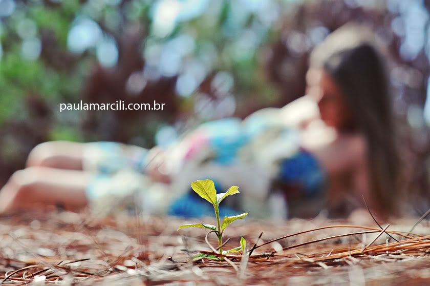 book gestante