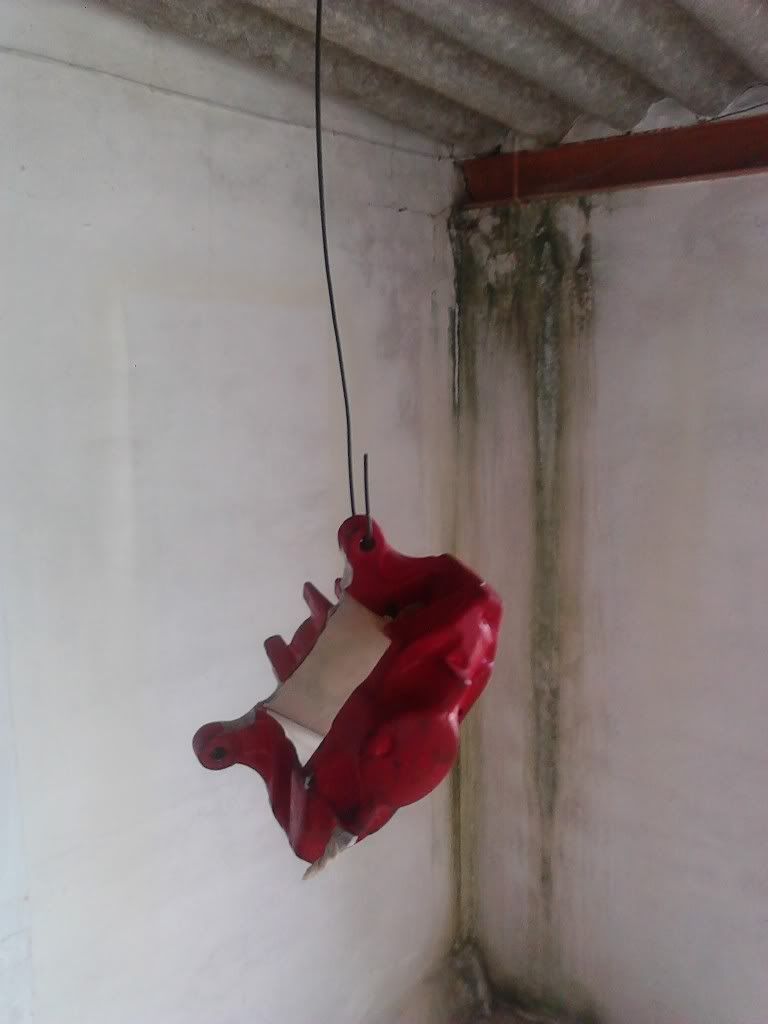IMG_20120401_093910.jpg