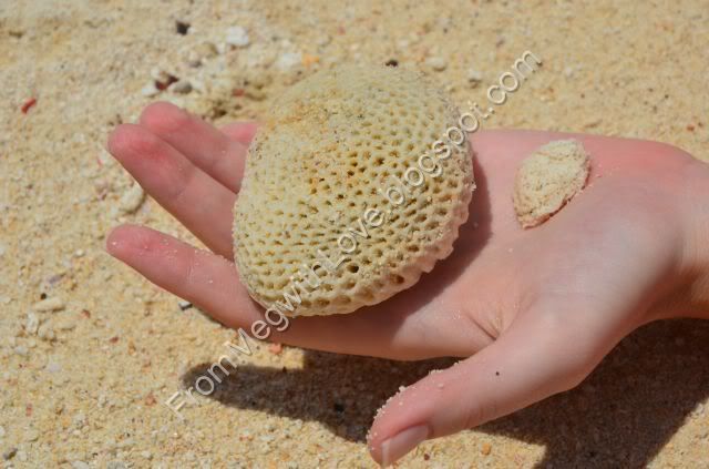 Insula Phi Phi, Thailanda Insula Phi Phi, Thailanda