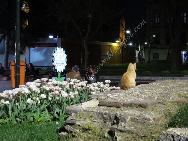 Zona Sultanahmet - Istanbul, Turcia Zona Sultanahmet - Istanbul, Turcia