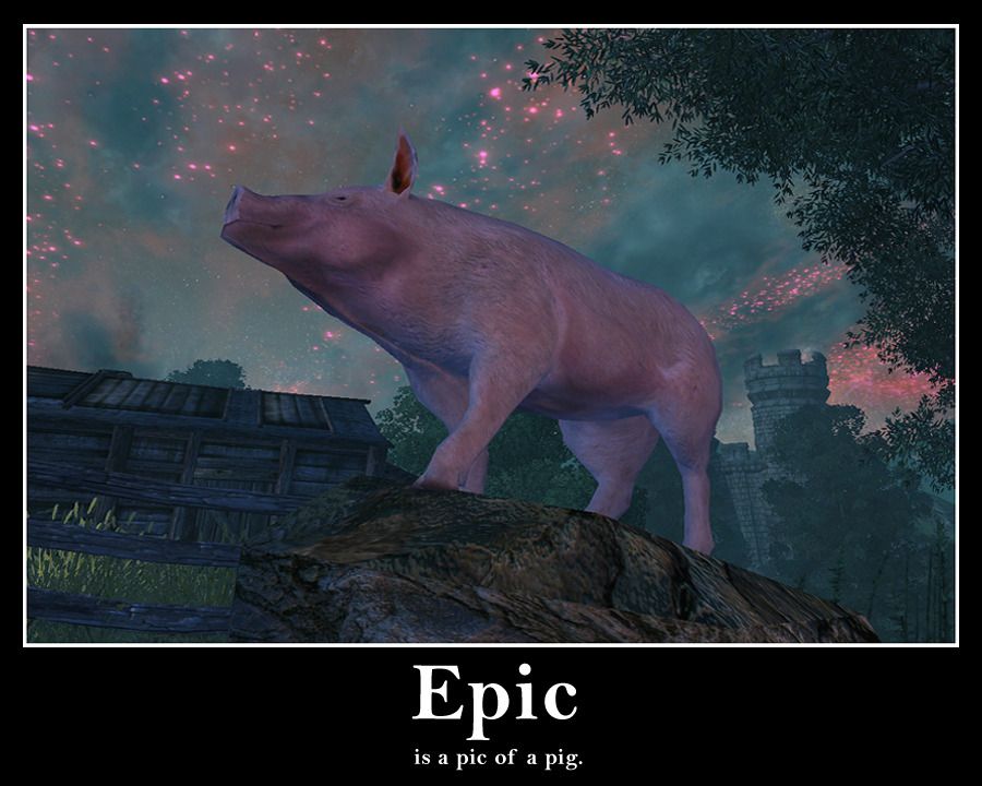 EpicPigPicSmall2.jpg