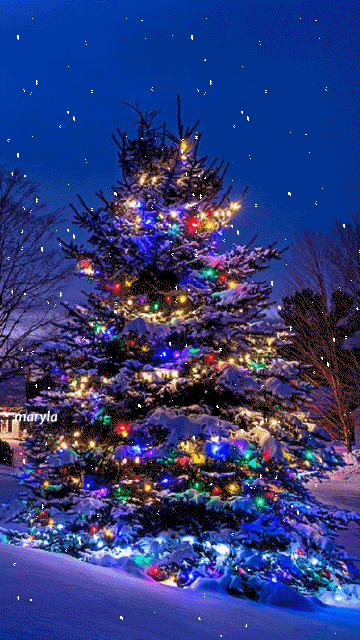  photo christmas-tree-animated-gif-32_zpswj9exaug.gif