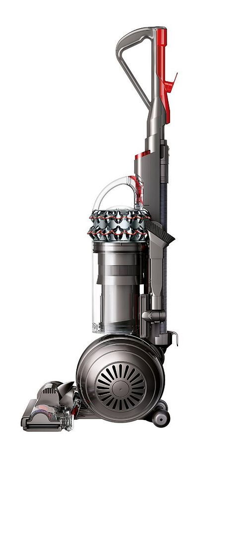 dyson big ball animal allergy