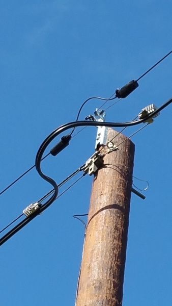 20160506_100525_zpsly6azrgk.jpg