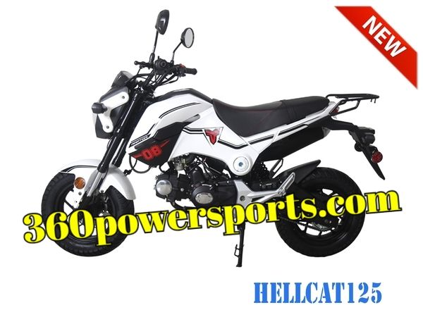 06 taotao manual