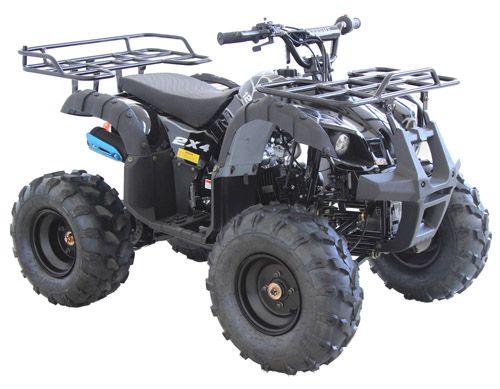Vitacci RIDER-9 125cc ATV