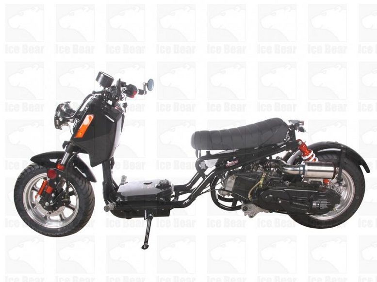 ICEBEAR GEN IV MADDOG 50CC