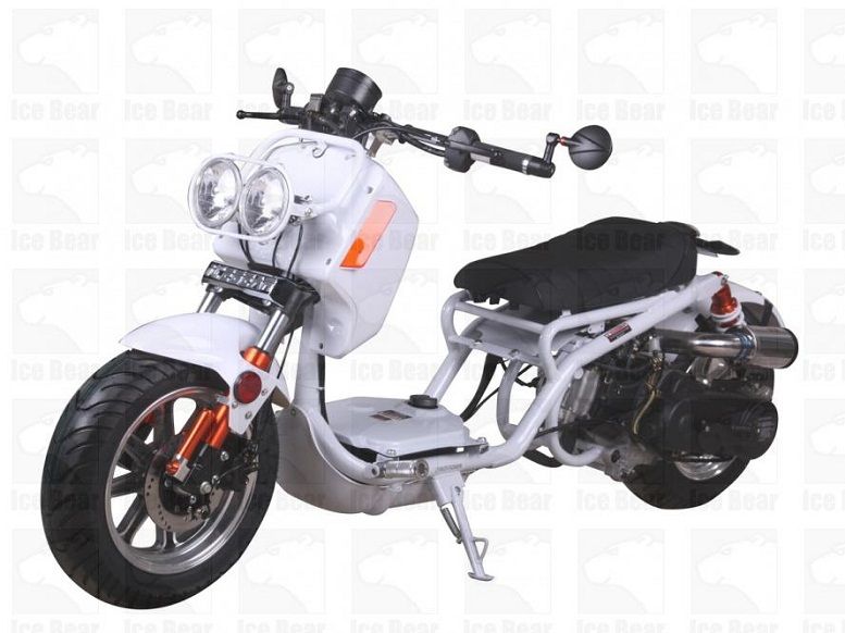 ICEBEAR GEN IV MADDOG 50CC