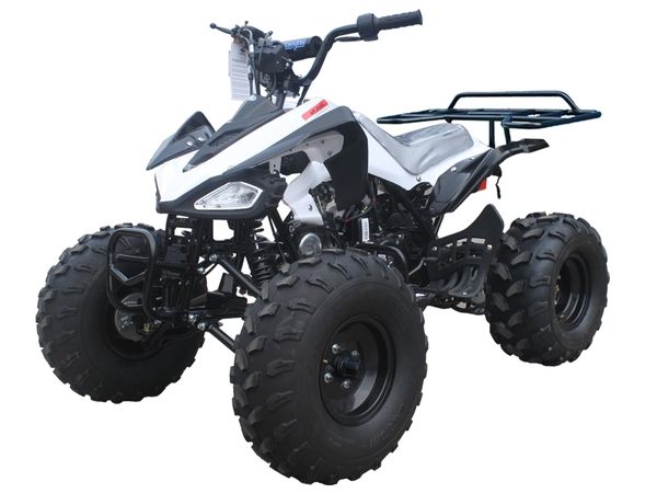 Tao Tao Cheetah 125 ATV