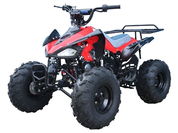 Tao Tao Cheetah 125 ATV