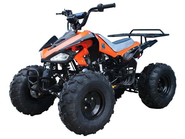 Tao Tao Cheetah 125 ATV