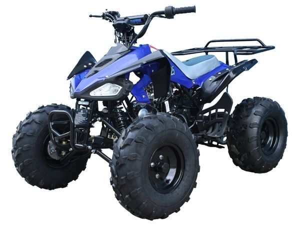 Taotao Cheetah Mid Size ATV 125