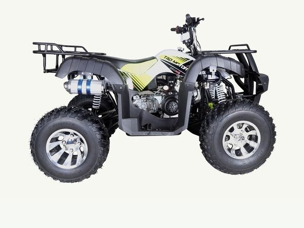 TaoTao BULL 200 169CC