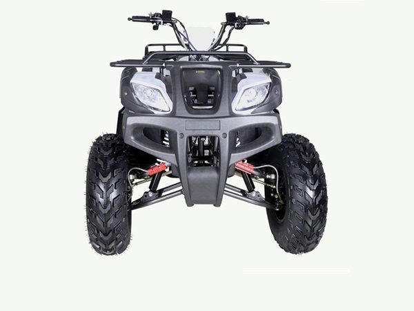TaoTao BULL 200 169CC