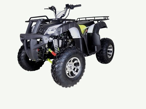 TaoTao BULL 200 169CC