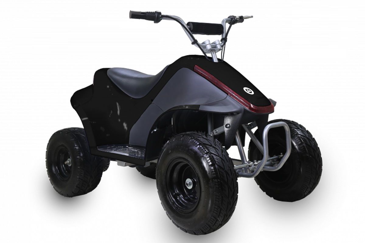 TaoTao ROVER500 500 Watt ATV