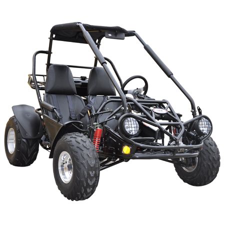 TrailMaster 150 Xrs Electric