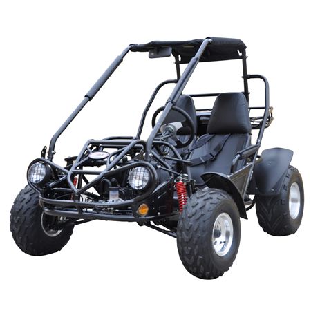 TrailMaster 150 Xrs Electric