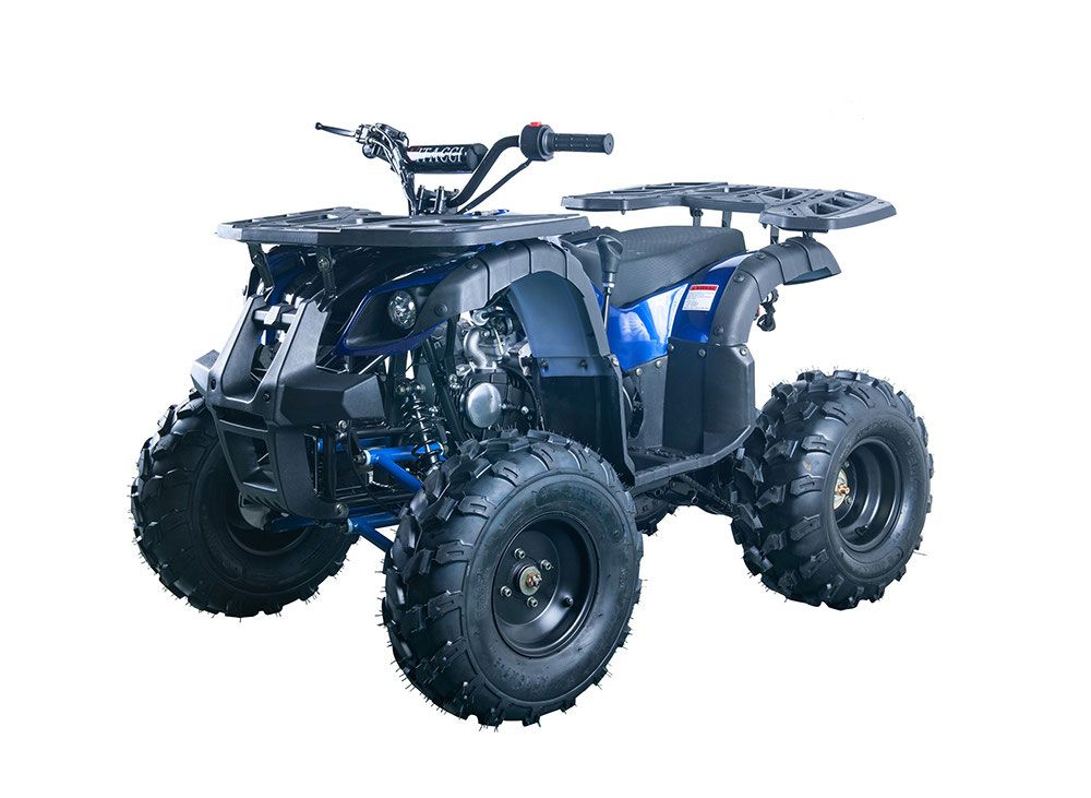 VITACCI RIDER-10 125cc ATV