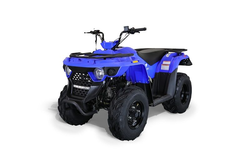 MASSIMO LH150 147cc