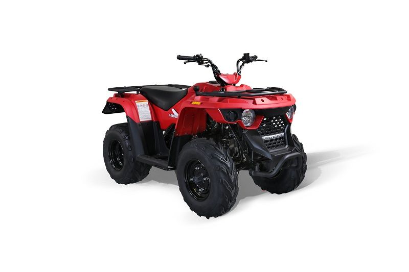MASSIMO LH150 147cc