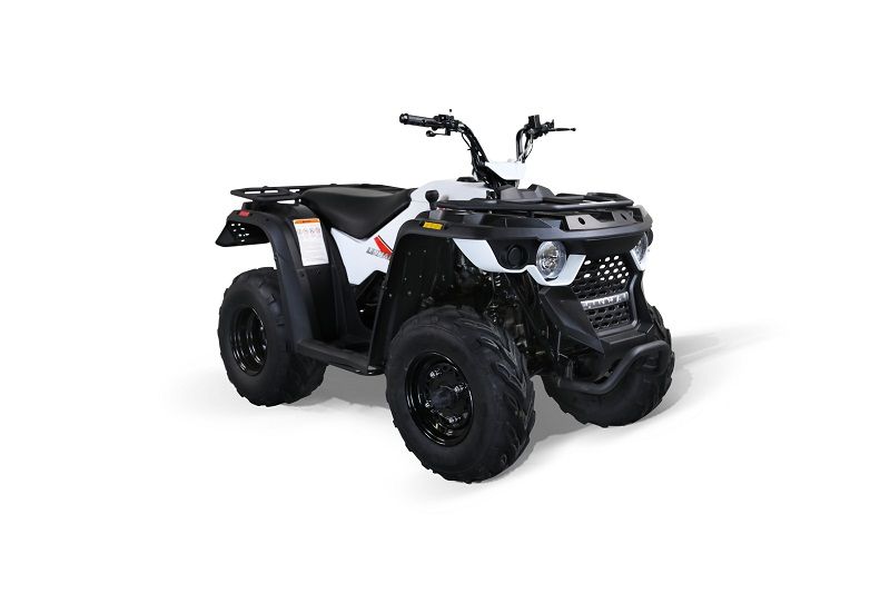 MASSIMO LH150 147cc