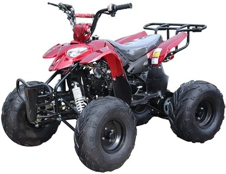 ICE BEAR ''Big Raptor'' 125cc ATV