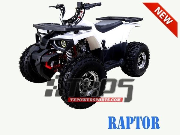 TaoTao Raptor 125cc,Air cooled, 4-stroke, 1-cylinder