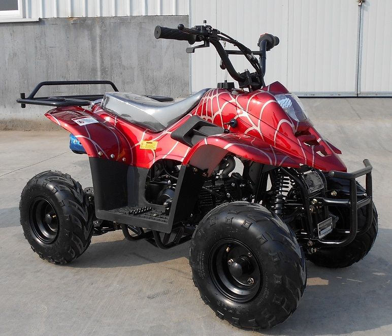 RPS 110CC Raider 6