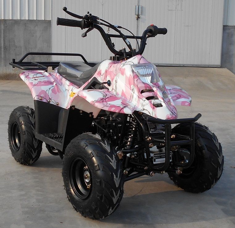 RPS 110CC Raider 6
