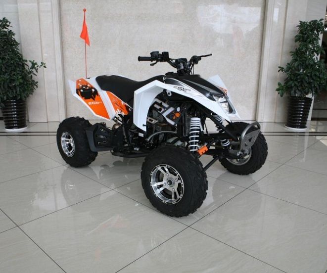 RPS 250 ATV (EGL MOTOR) Max-7