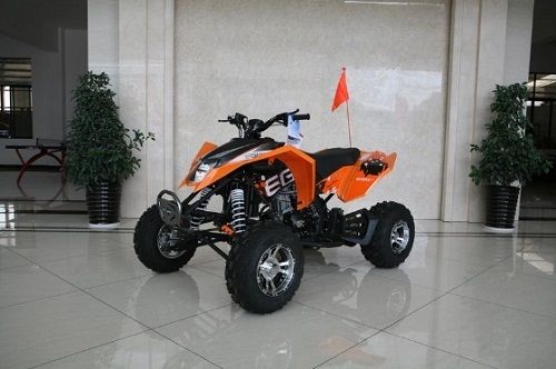RPS 250 ATV (EGL MOTOR) Max-7