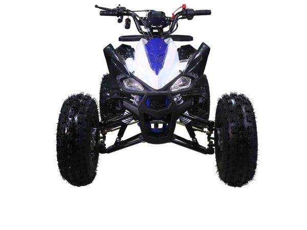 TAOTAO 125CC NEW CHEETAH Mid Size ATV