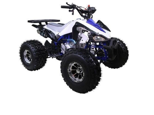 TAOTAO 125CC NEW CHEETAH Mid Size ATV