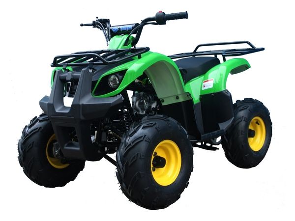 Taotao ATA 125D ATV 107cc