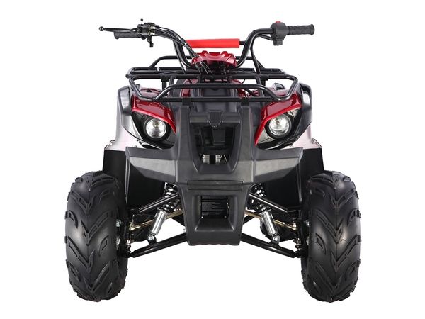 Taotao ATA 125D ATV 107cc