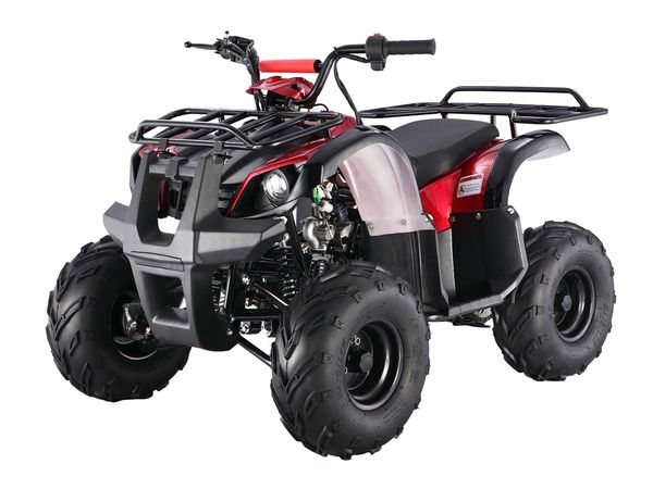 Taotao ATA 125D ATV 107cc