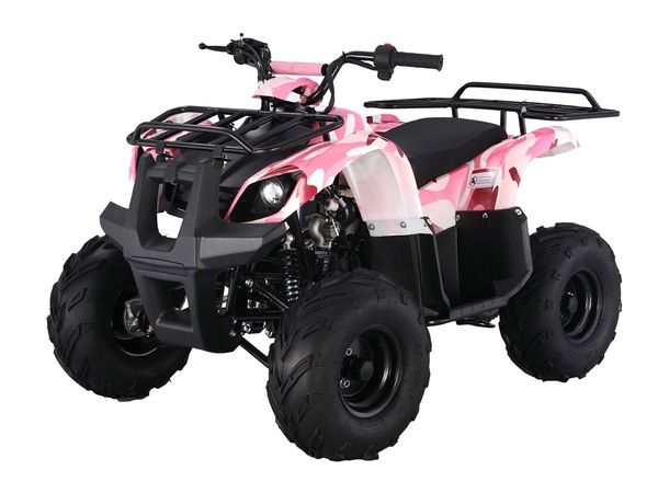 Taotao ATA 125D ATV 107cc