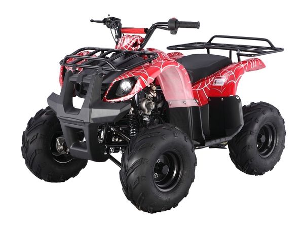 Taotao ATA 125D ATV 107cc