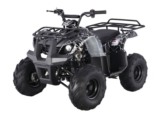 Taotao ATA 125D ATV 107cc