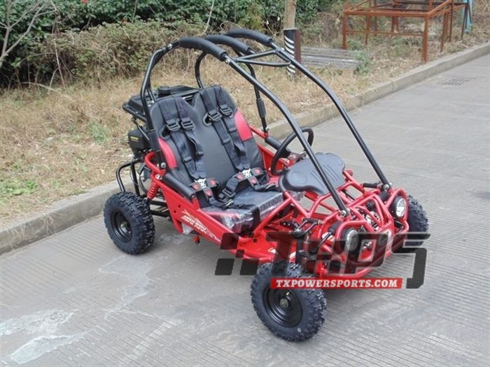 Carb Approved TrailMaster Mini XRX/R GoKart